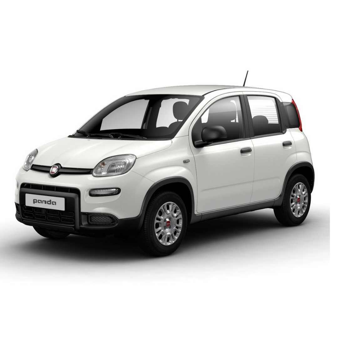 noleggio lungo termine furgoni panda van 